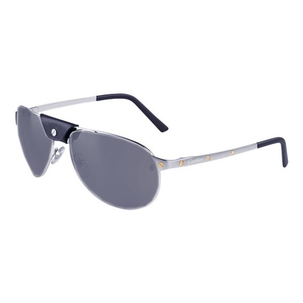Cartier-Santos-silver-polarized